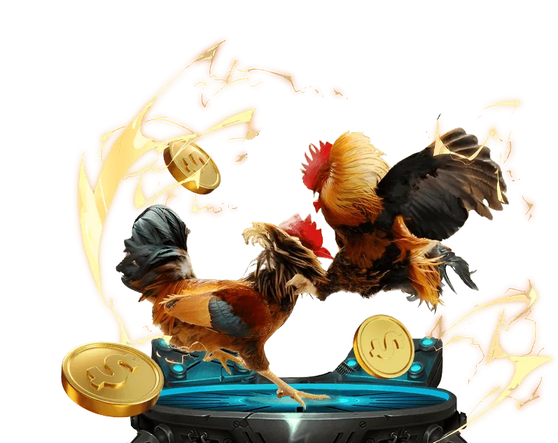 Khuyến mãi đăng ký J8BET cho người chơi đá gà mới